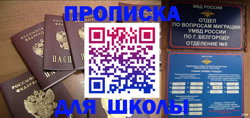 прописка гарантия в Курске